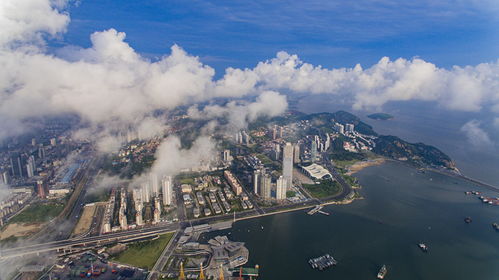 中國 江蘇 自貿區連云港片區召開發布會2020年投資200億實現八個突破 中國經濟網